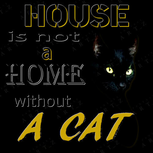 house is not a home without cat, design for a t-shirt