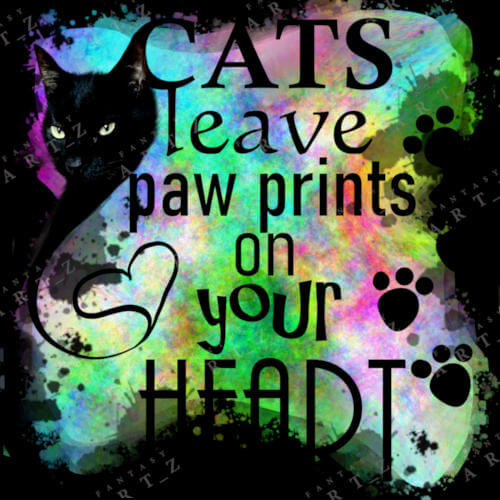 design for a t-shirt of a cat and a quote about a cat