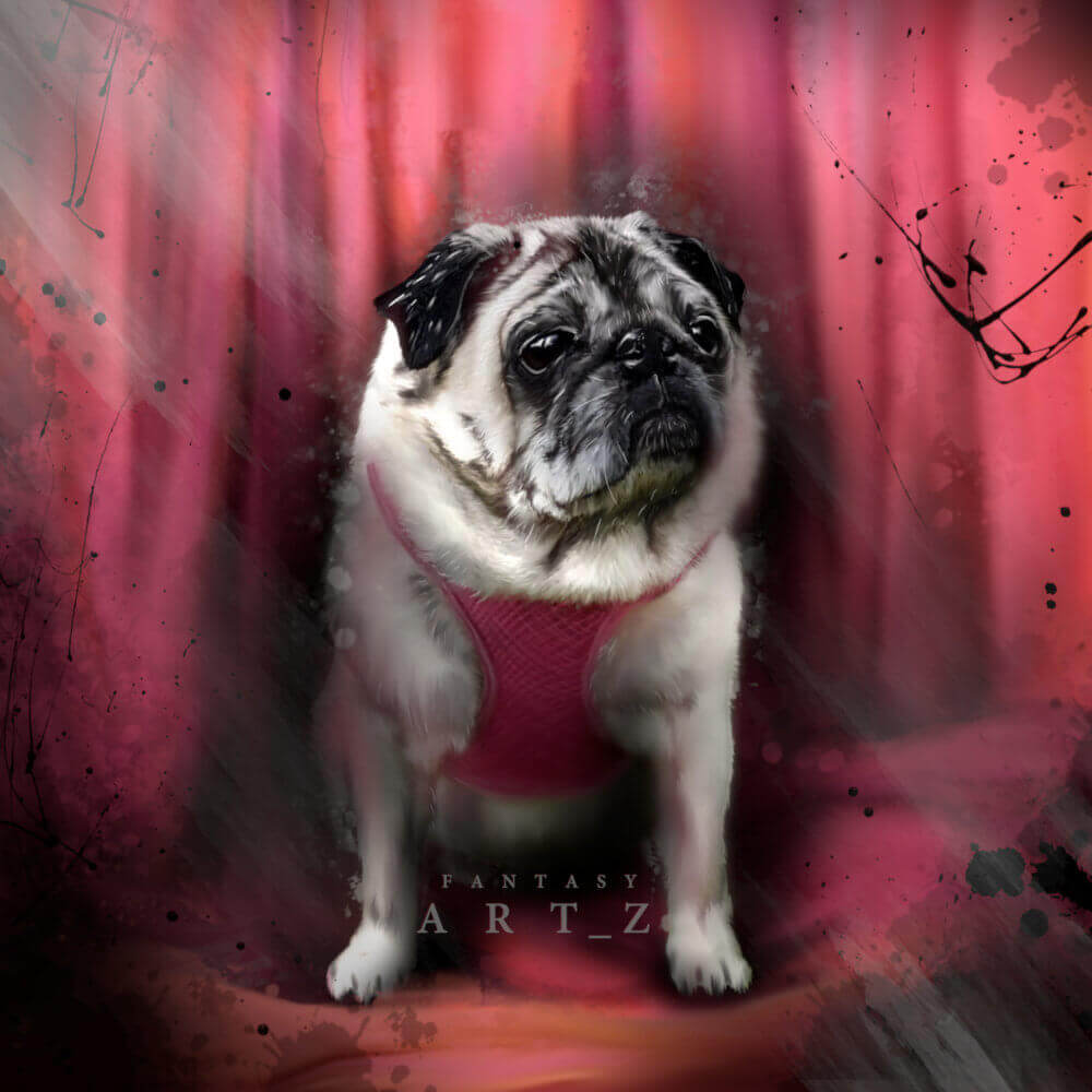 Digital art of pug dog wearing pink harness against dramatic red and pink abstract background with paint splatters and artistic effects