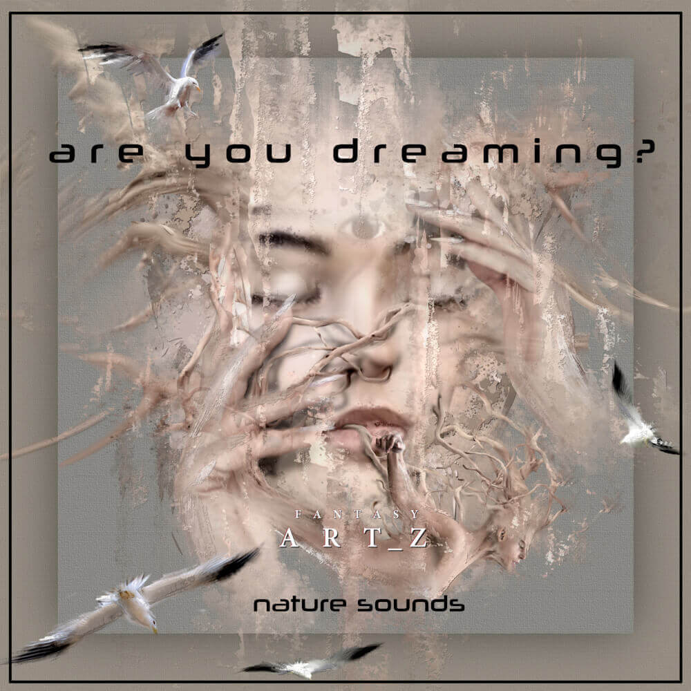 Are You Dreaming album cover featuring surreal portrait with flying birds and distressed textures for nature sounds music