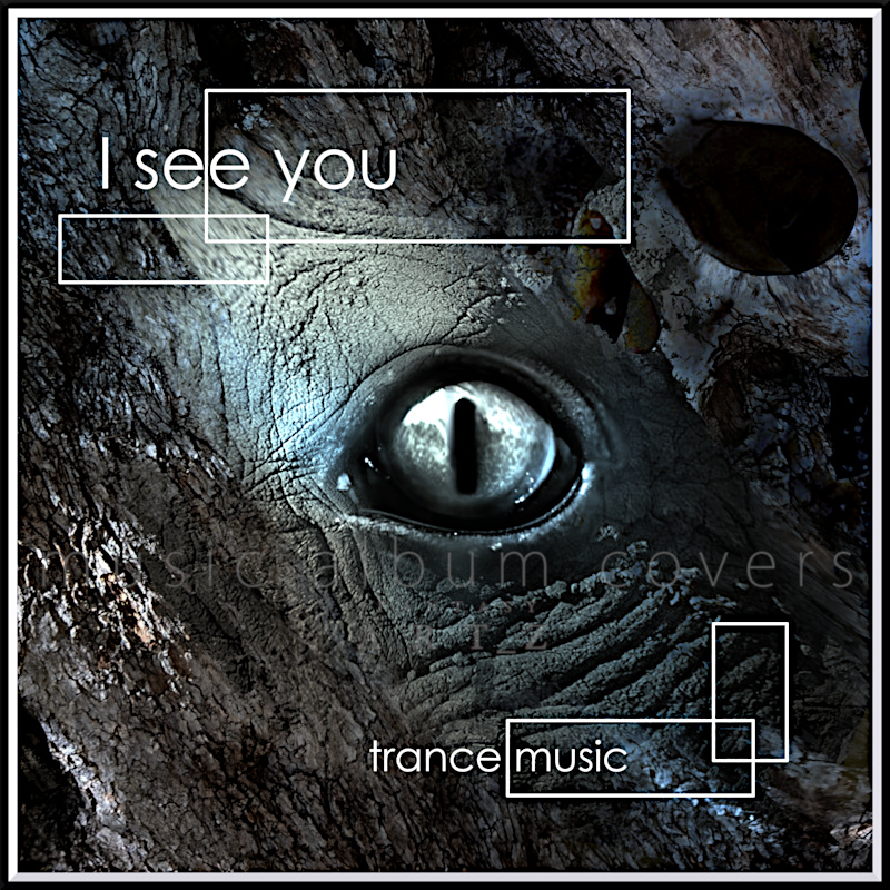 I See You trance premade music album cover with reptilian dragon eye on cracked stone surface